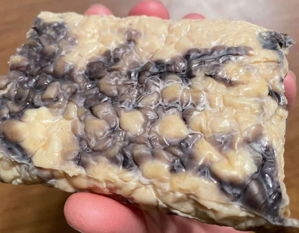 signs of spoiled tempeh
