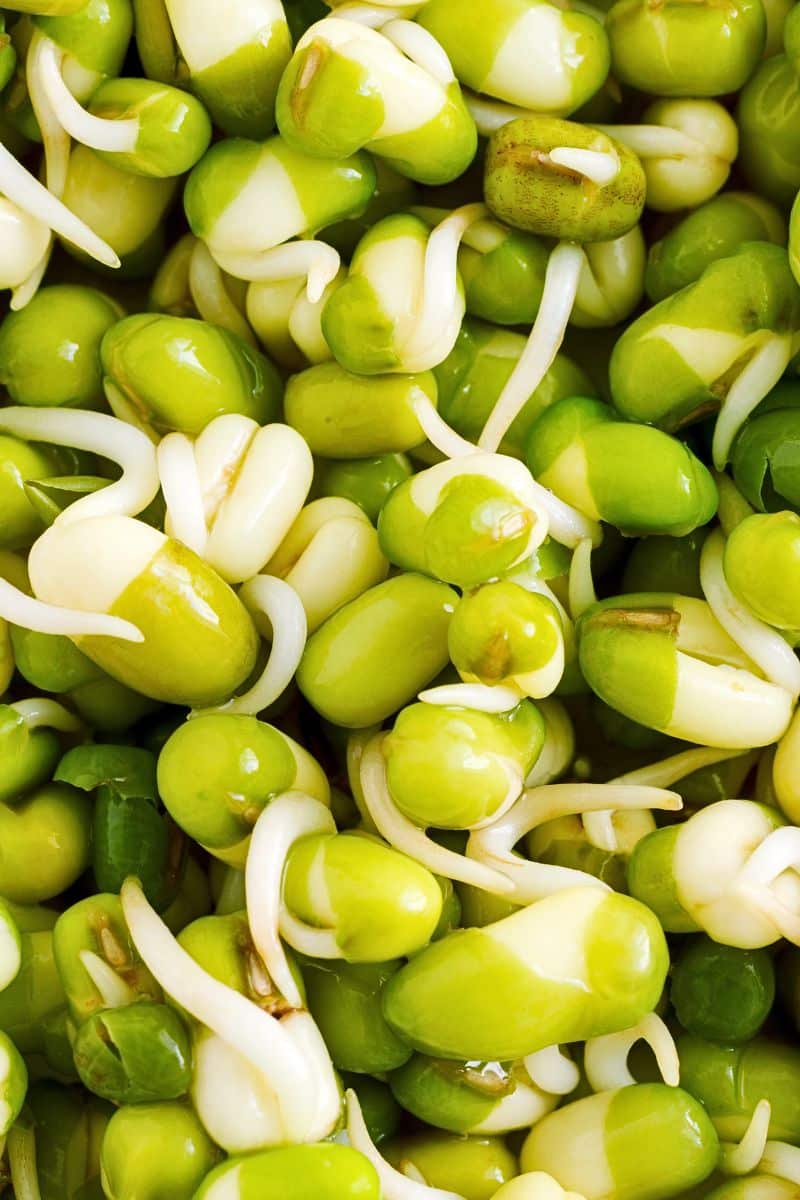 How To Remove Lectins From Lentils And Reap Health Benefits