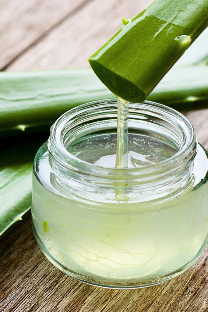 aloe vera gel - herbal remedy for cold sore treatment