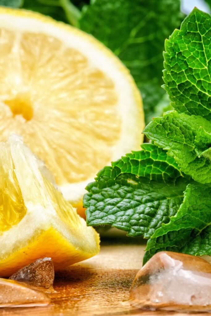 peppermint and lemon - herbal remedy for cold sore treatment