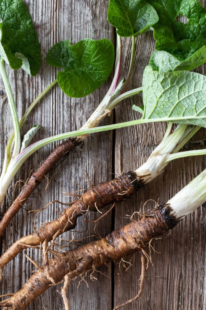 herbs for lymphatic drainage