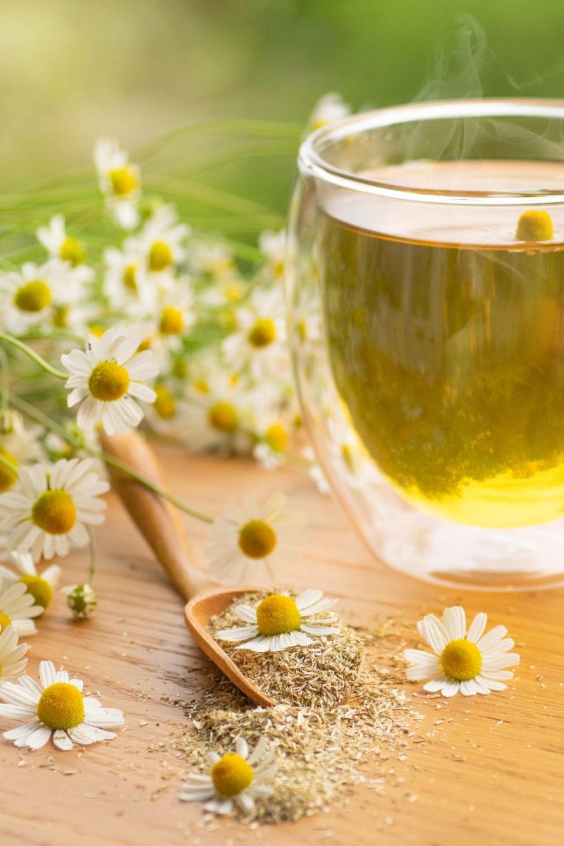 The Best Herbal Tea For Upset Stomach Or Nausea
