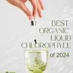 Best Organic Liquid Chlorophyll 1