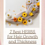 7 Best Herbs for Hair Growth and Thickness