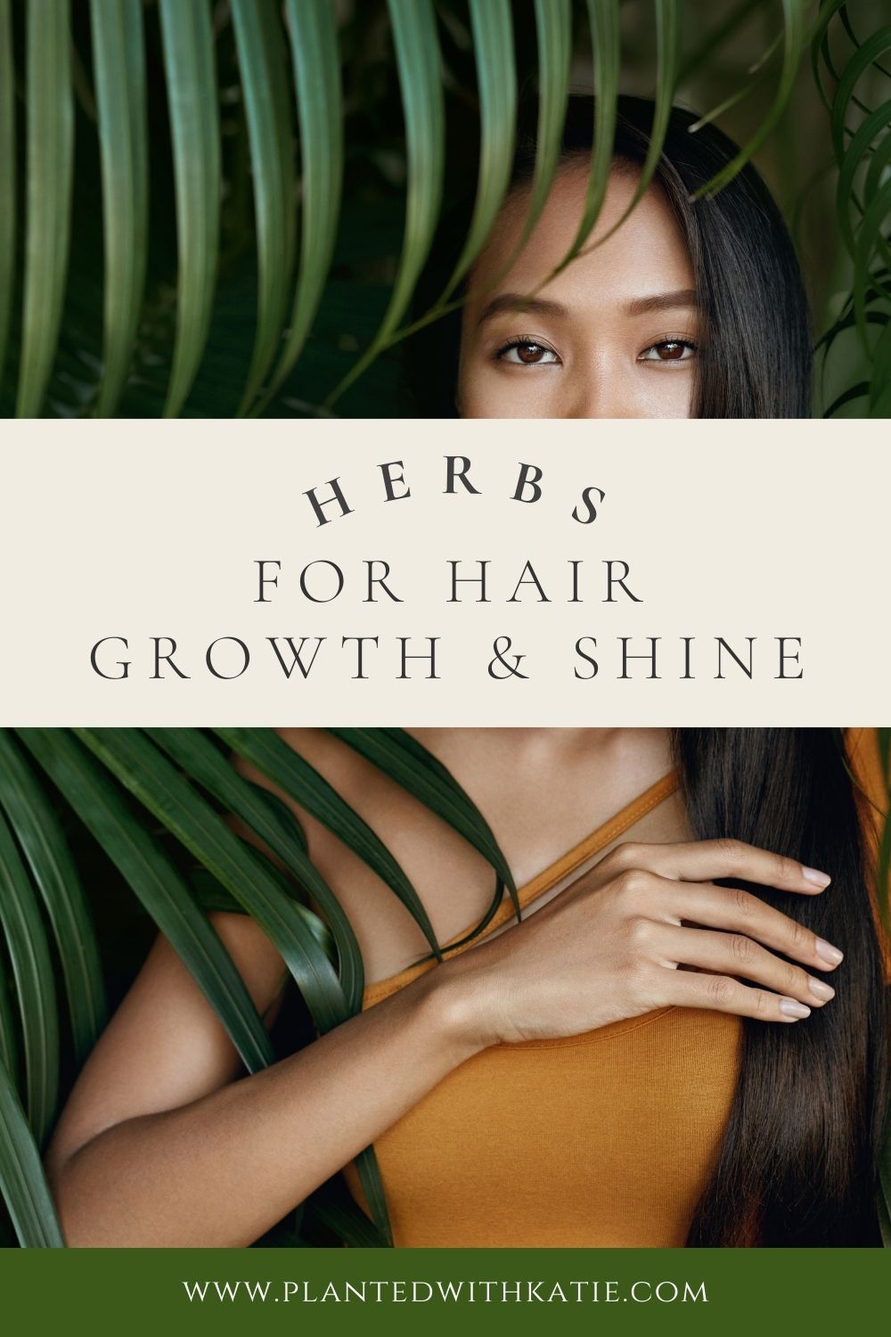 Detailed Herbs For Hair Growth And Thickness Design Concept Detailed Herbs For Hair Growth And Thickness Design Concept