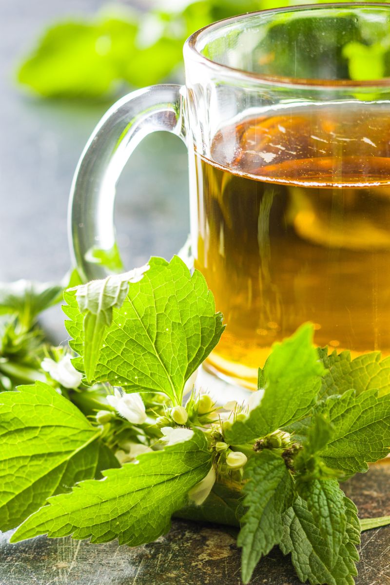 5 Best Herbs For Pregnancy (With DIY Tea Blends)