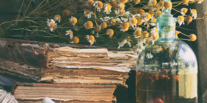 herbal books for beginners