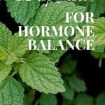 top herbs for hormone balance
