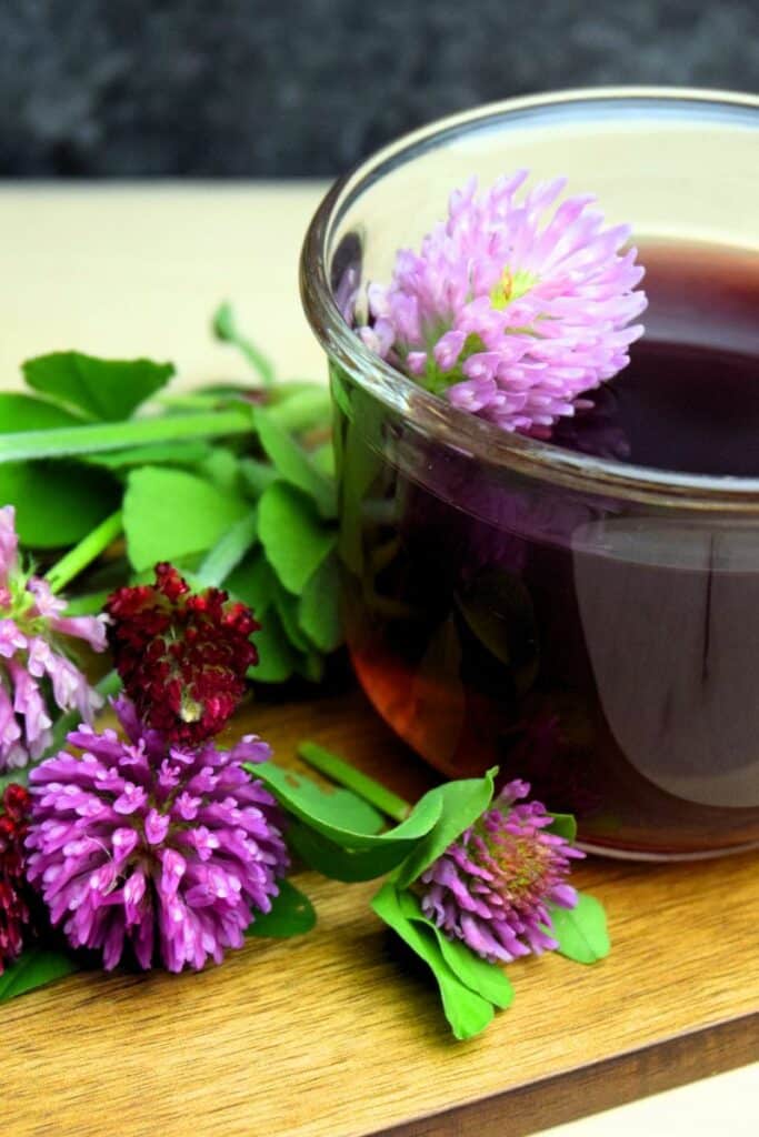 Red Clover Tea for Menopausal Symptoms