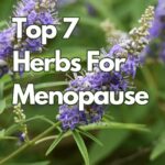 Managing Menopause Symptoms With Herbs
