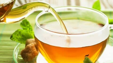 best herbal tea for nausea