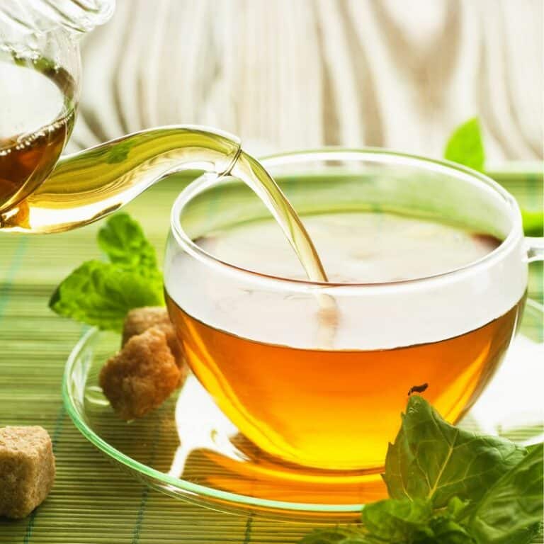 best herbal tea for nausea