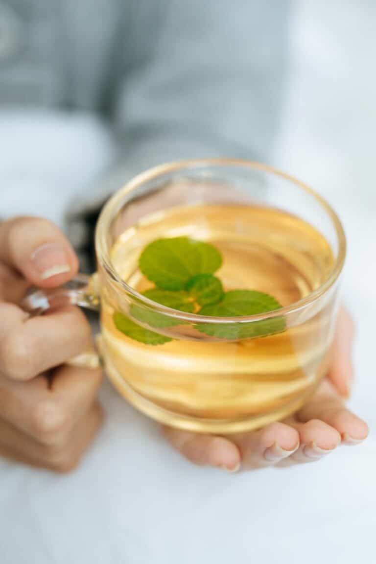 Best Herbal Tea For Headaches And Migraine Relief