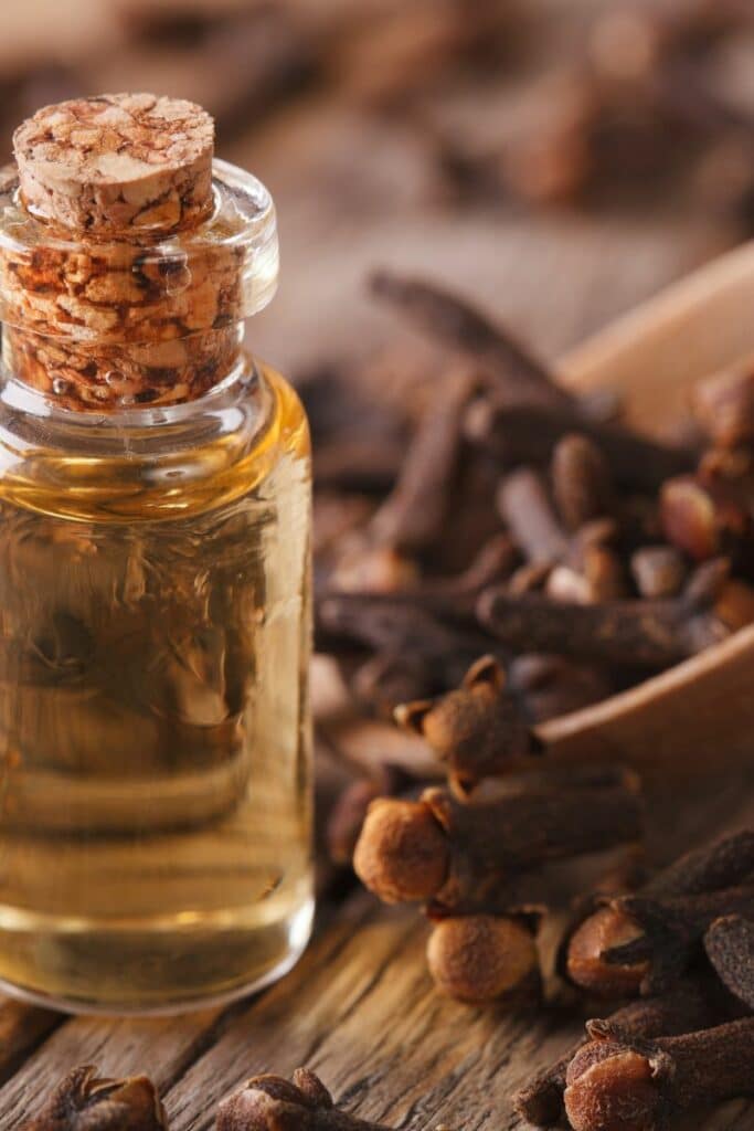 Clove Oil : Most Effective Home Remedy for Root Canal Pain
