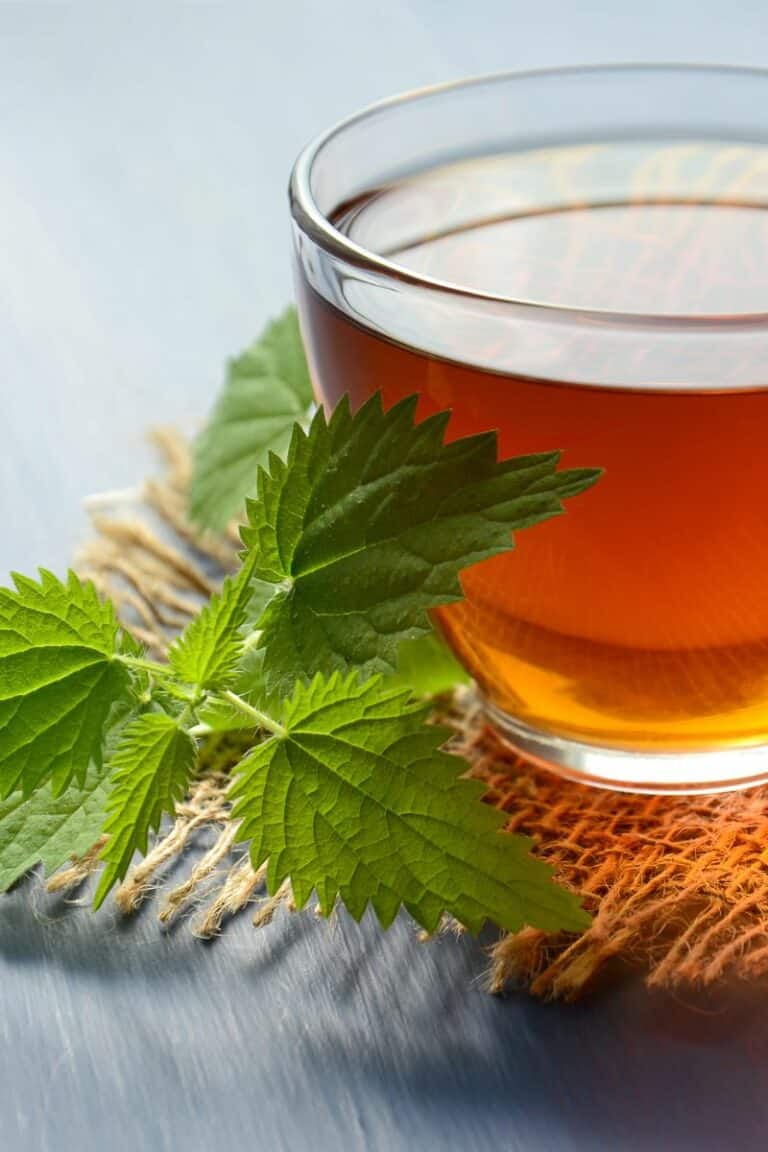 Best Herbal Tea For Headaches And Migraine Relief
