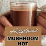 mushroom hot chocolate mix