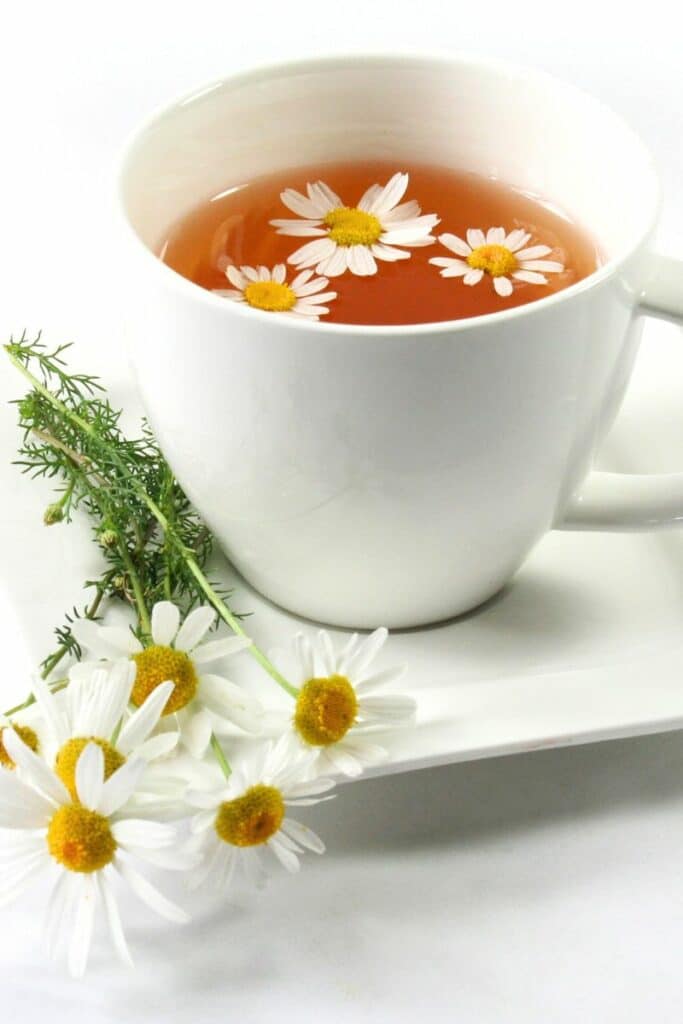 chamomile tea in cup