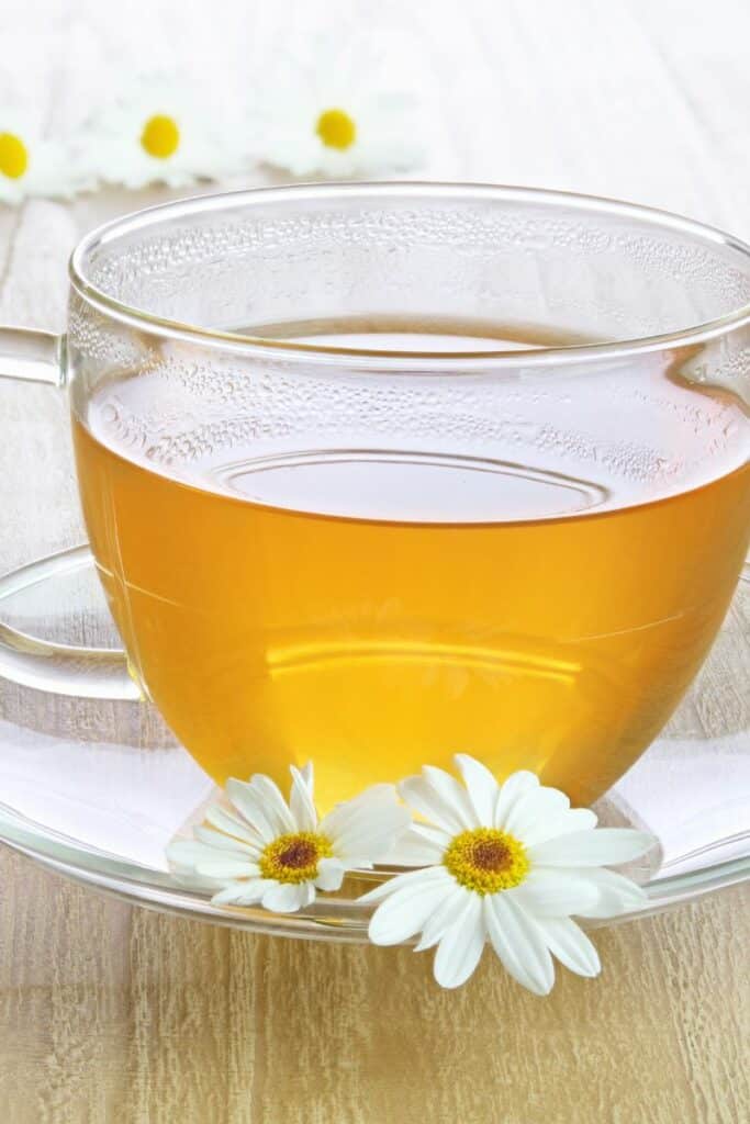 Side Effects of Chamomile Tea