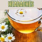 Best Herb For Migraines