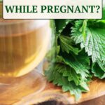 is nettle tea safe during pregnancy