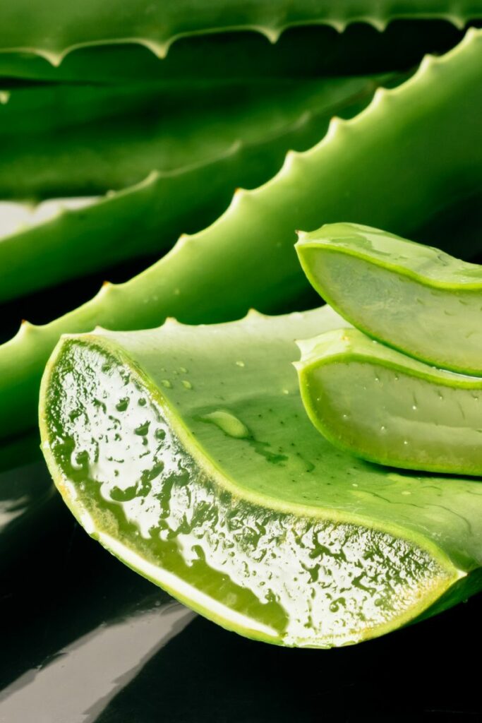 aloe vera for acne scars