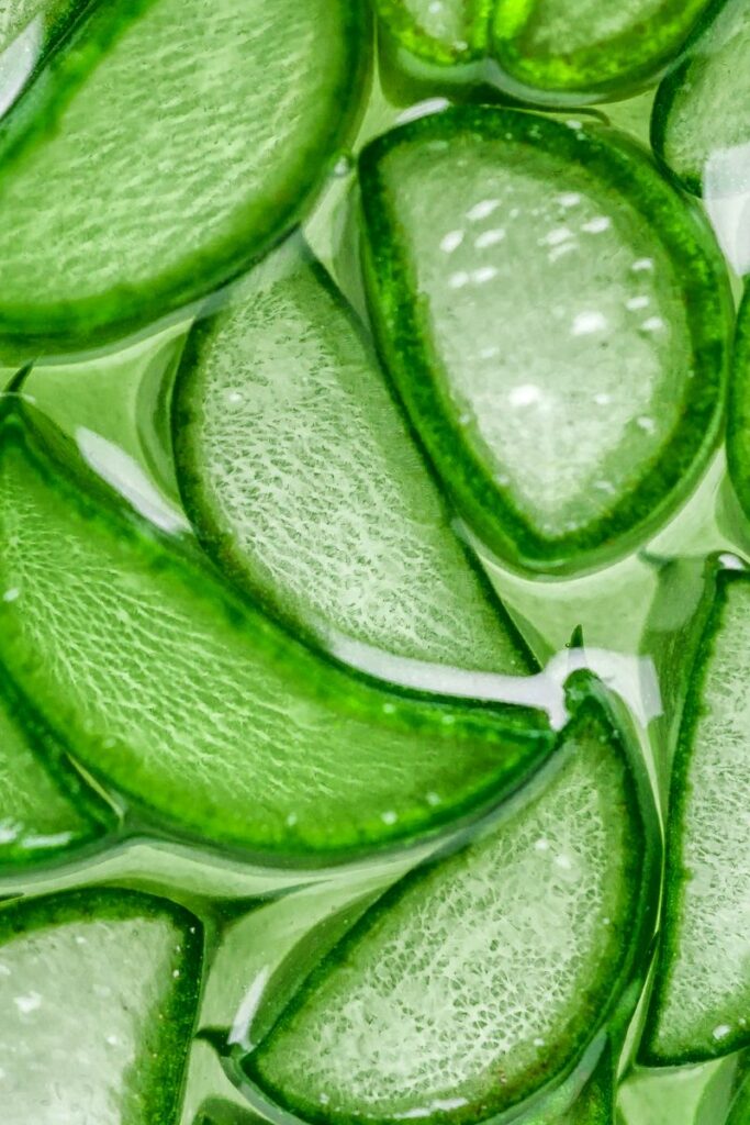 aloe vera for acne scars