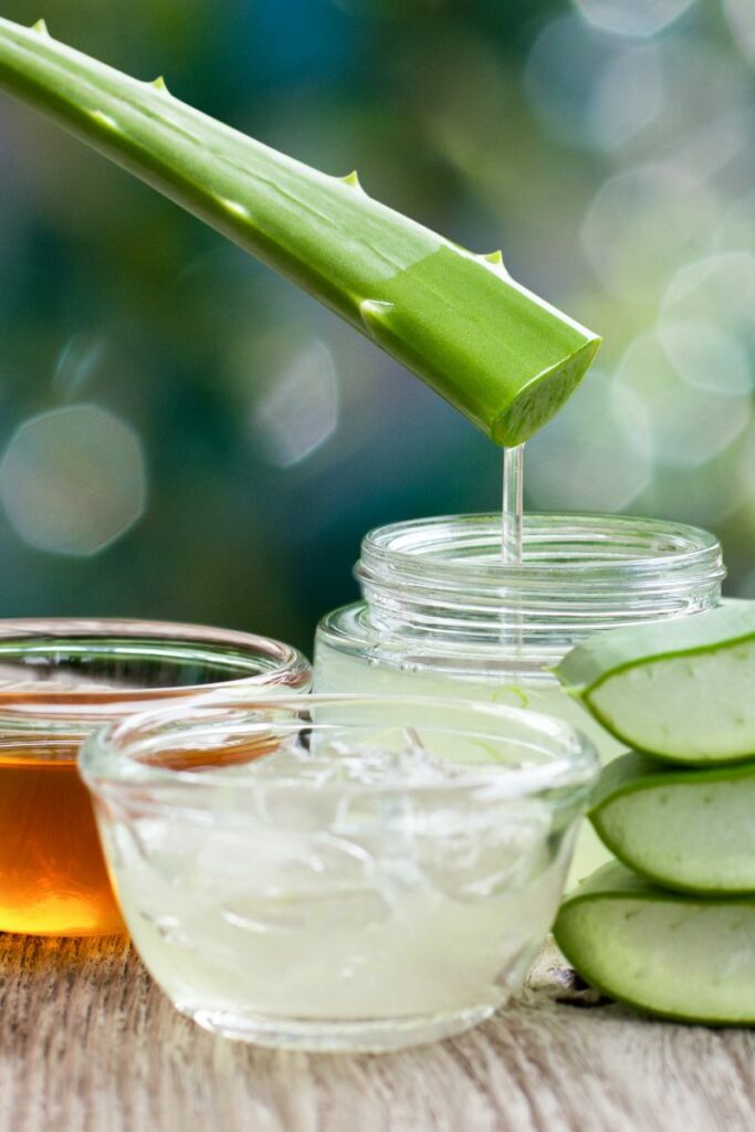 DIY Aloe Vera Remedies