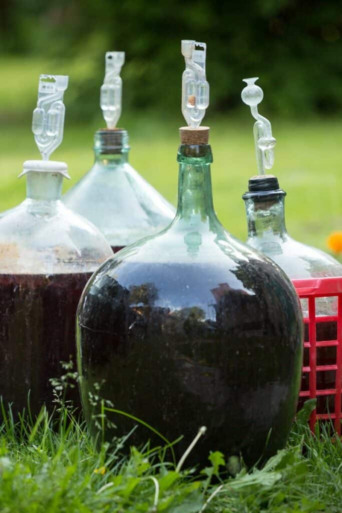 Blueberry Mead Recipe (Delicious Homemade Honey Wine)