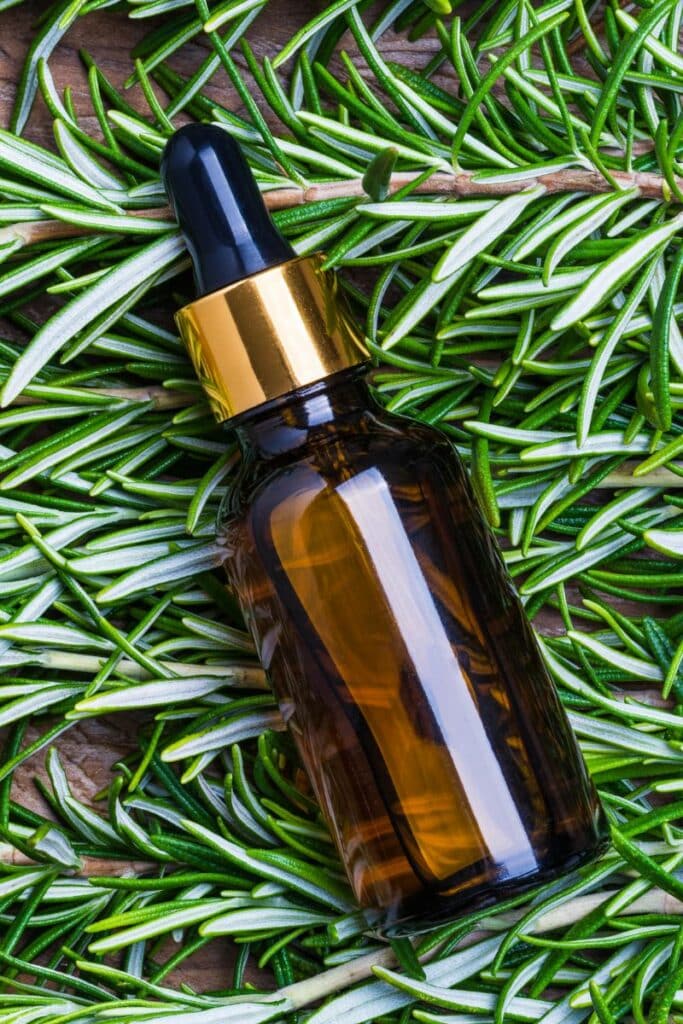 Why Herb-Infused Oils are Better Than Just Essential Oils