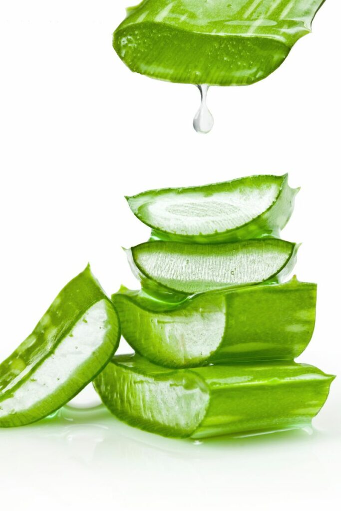 aloe vera for acne scars