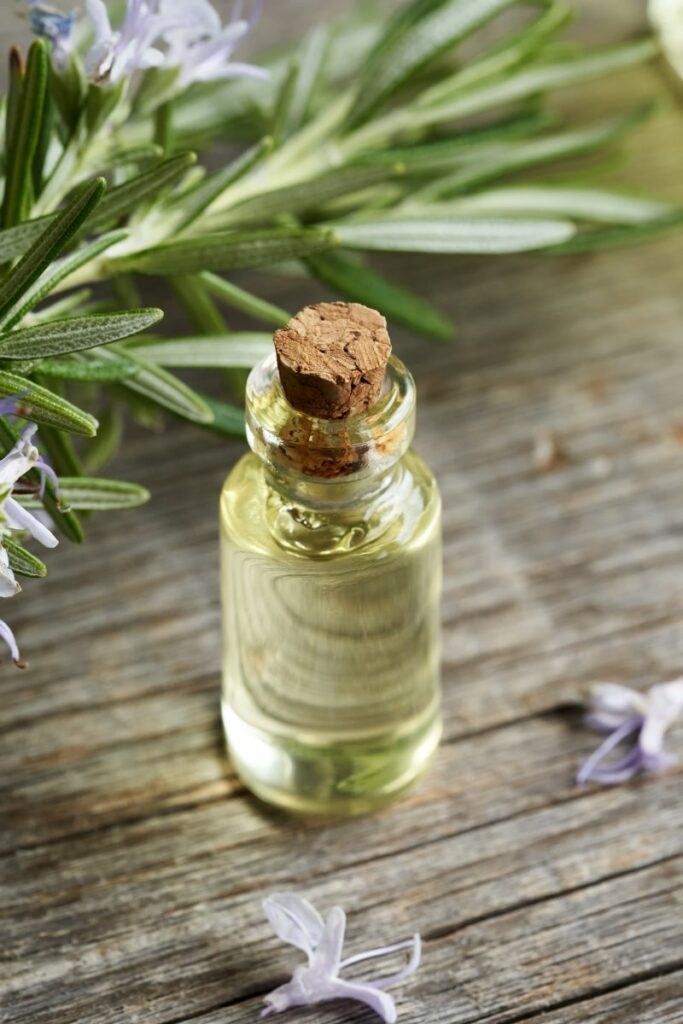 peppermint and rosemary oil for hair growth