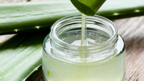 How Does Aloe Vera Help With Acne Scars Naturally?