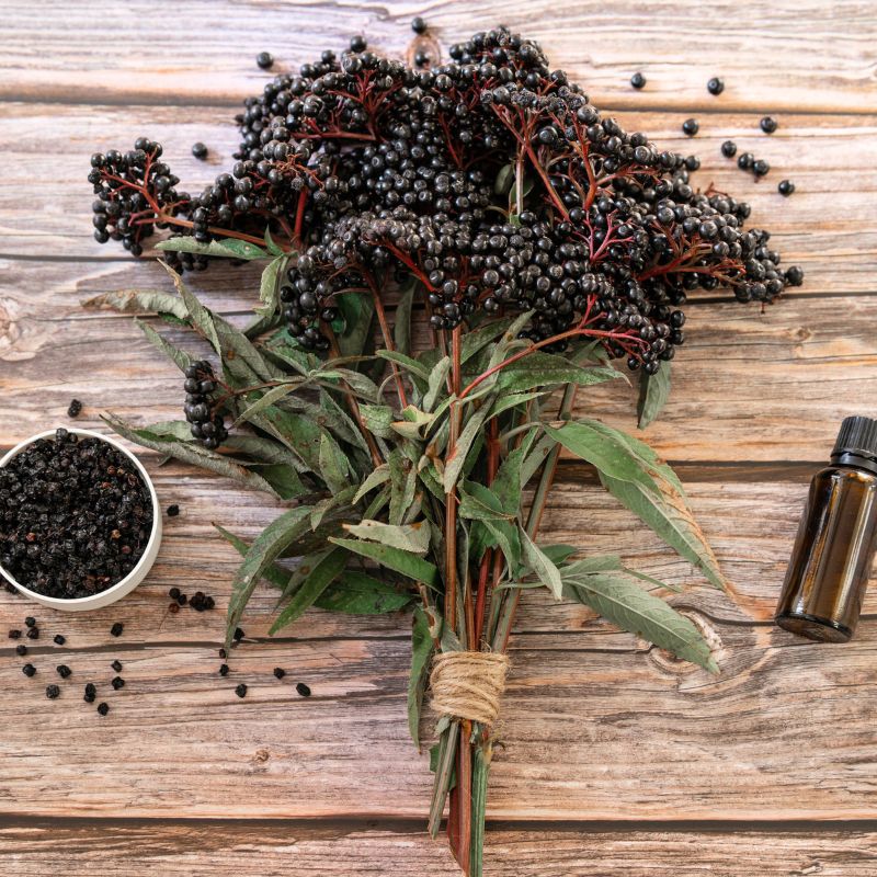 elderberry tincture recipe without alcohol