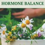 5 Herbal Remedies For Hormonal Imbalance In Women