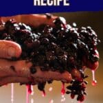 Blueberry Mead Recipe