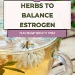 herbs for estrogen balance