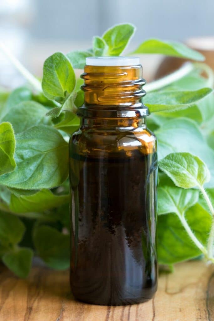 Understanding Oregano Essential Oil