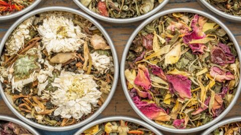 best herbal tea for anxiety