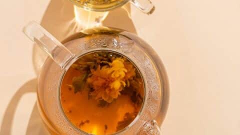 Nourishing Pregnancy and Postpartum Herbal Tea Recipe