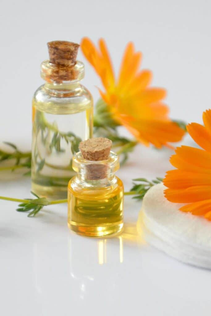 Calendula for tooth infections