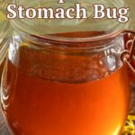 stomach bug home remedies